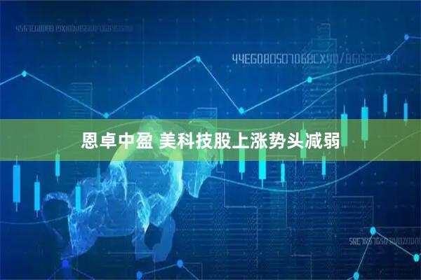 恩卓中盈 美科技股上涨势头减弱