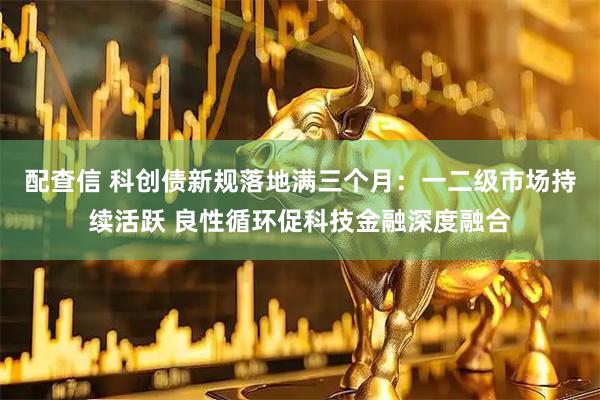 配查信 科创债新规落地满三个月：一二级市场持续活跃 良性循环促科技金融深度融合